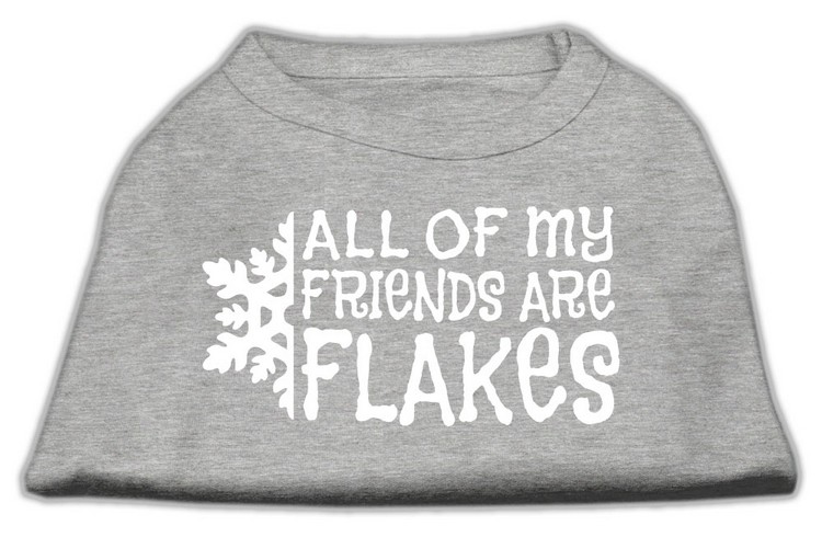 All my friends are Flakes Screen Print Shirt Grey XXXL